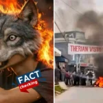 ¿Queman un therian en Guatemala? ¿Es verdad? ¿Cuál es el video que circula en redes?