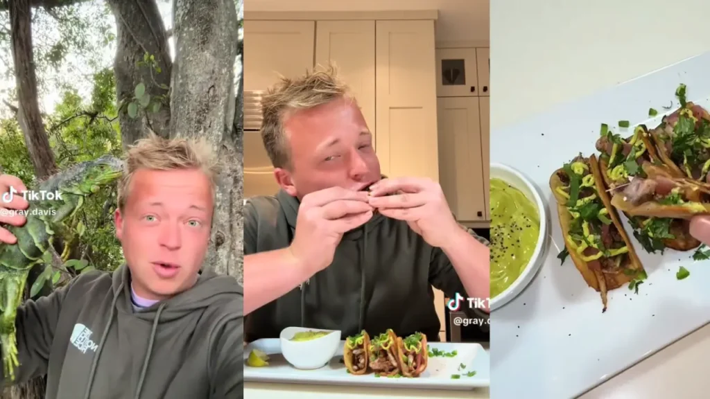 VIDEO: Tiktoker prepara tacos con 'iguanas congeladas' por el frío en Florida