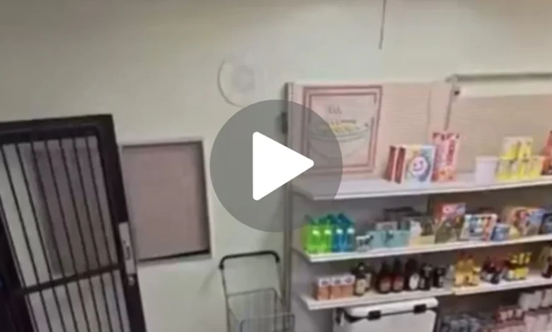 Video de la tienda de comestibles Andeemind: clip completo viral Zonamyk