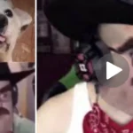 Video del 'Perro Majaji' original: ¿Cuál es el clip en Twitter y de qué trata?