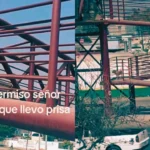 Vídeo | 'Ejemplo de educación vial': Graban a perrito al cruzar puente peatonal