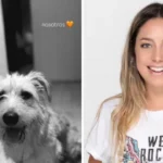 ¿Quién es Willow? Conoce al perro de la periodista Sofía Martínez que acapara la tendencia en redes sociales. ¡Esto se sabe!