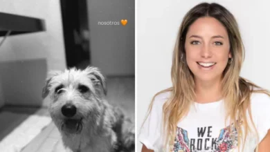 ¿Quién es Willow? Conoce al perro de la periodista Sofía Martínez que acapara la tendencia en redes sociales. ¡Esto se sabe!