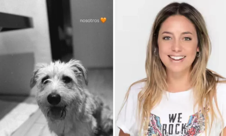 ¿Quién es Willow? Conoce al perro de la periodista Sofía Martínez que acapara la tendencia en redes sociales. ¡Esto se sabe!