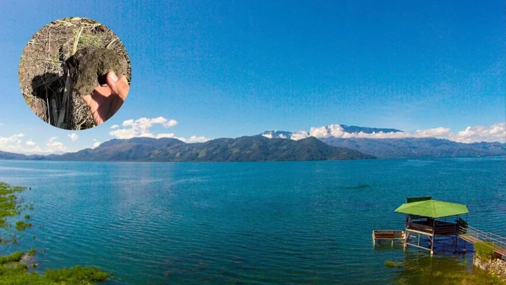 El volcán oculto que dio origen al lago de Yojoa, ¿qué se encontró en la zona?