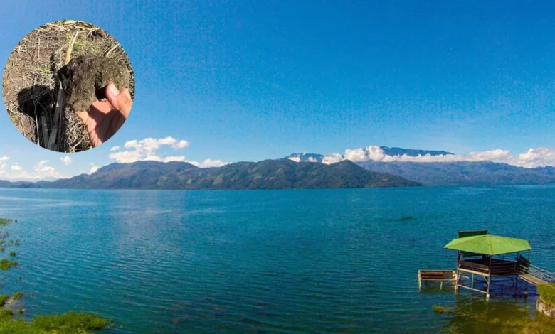 El volcán oculto que dio origen al lago de Yojoa, ¿qué se encontró en la zona?