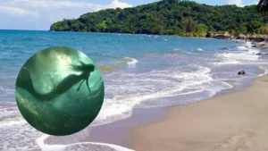 Leyenda de la sirena en Semana Santa: la advertencia sobre bañarse el viernes