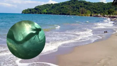 Leyenda de la sirena en Semana Santa: la advertencia sobre bañarse el viernes